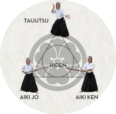 aikido takemusu aiki béziers Takéji Tomita sensei